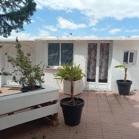 Vintage Dağ evi